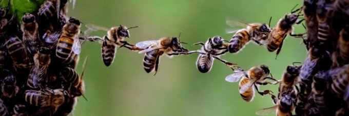 Bridge the Gap Between Results and Maintenance Actions