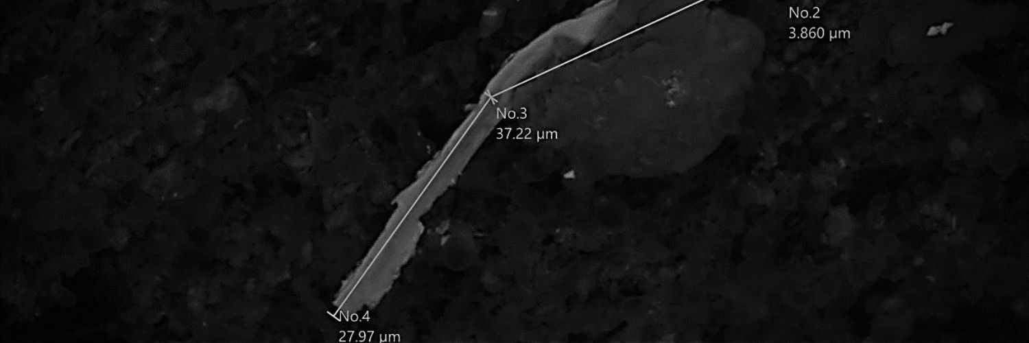 Bearing-Wear-Particle