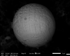 SEM-Sphere-Wear-Debris