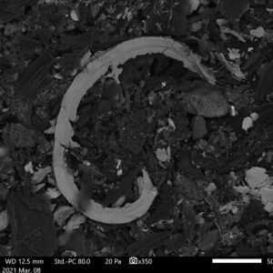 SEM-Cutting-Wear-Example