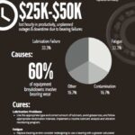 Bearing Failure Infographic