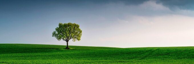 Oil Analysis and the Environment