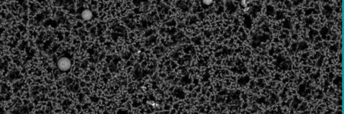 Detection and Analysis of Oil Balls Using SEM-EDS