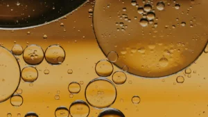 Random image from Picsum